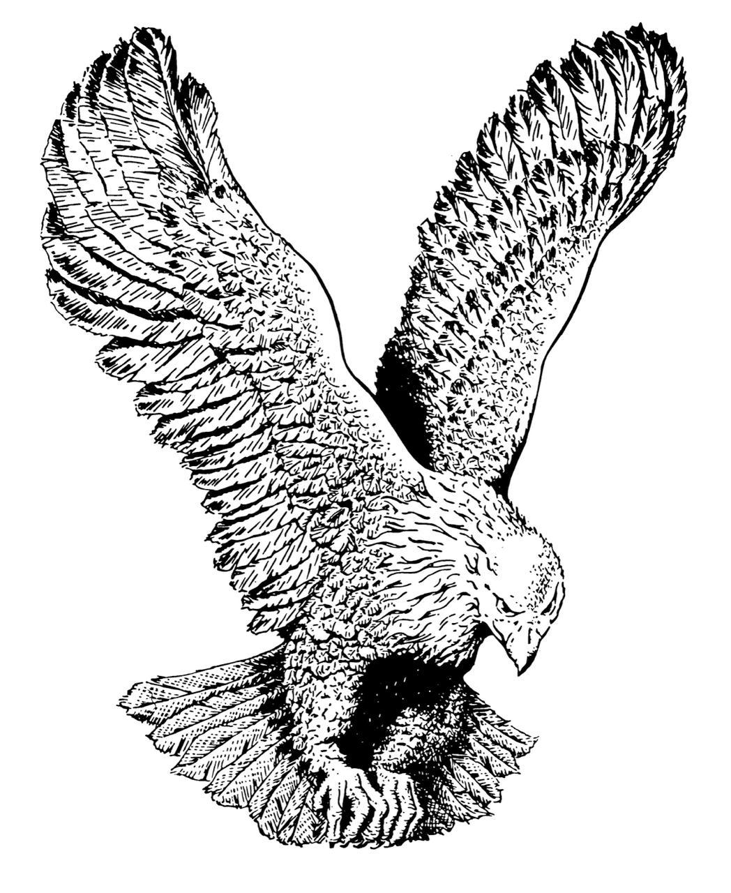 Flying Eagle Logo